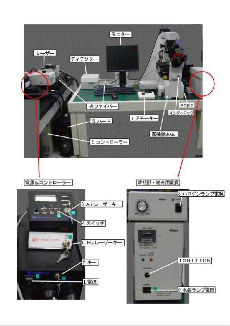 サイド照明マクロ蛍光顕微鏡 ストア